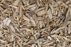 biomass boilers Ripon